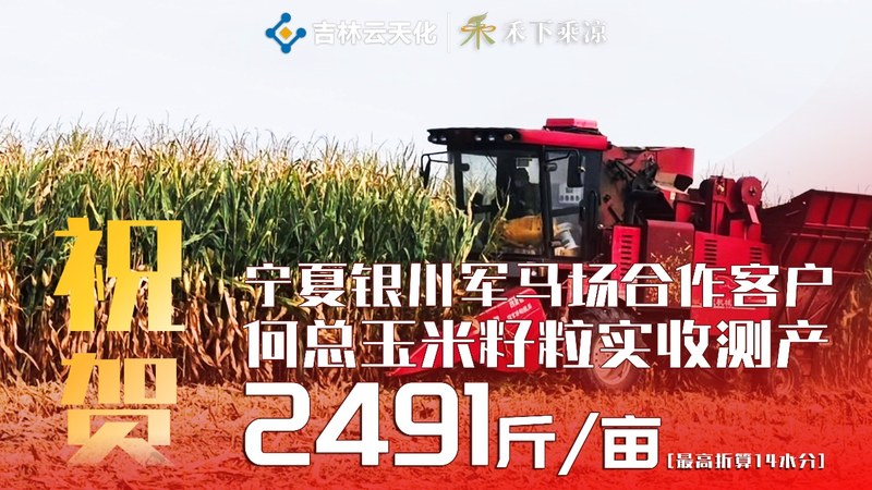 祝贺 宁夏银川 玉米籽粒实收 2491 斤/亩