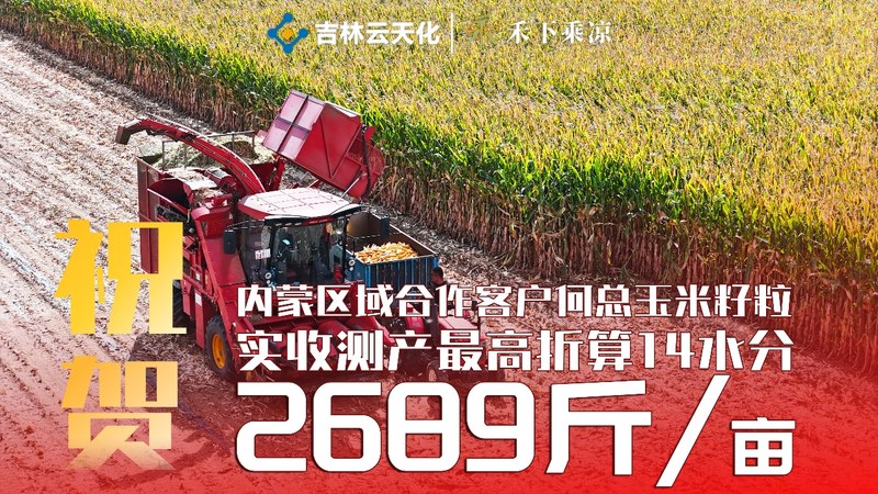 祝贺 内蒙巴彦淖尔何强 玉米籽粒实收 2689 斤/亩