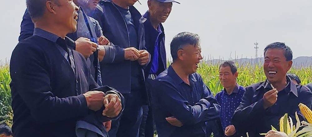 田间测产展示